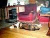 relax2
